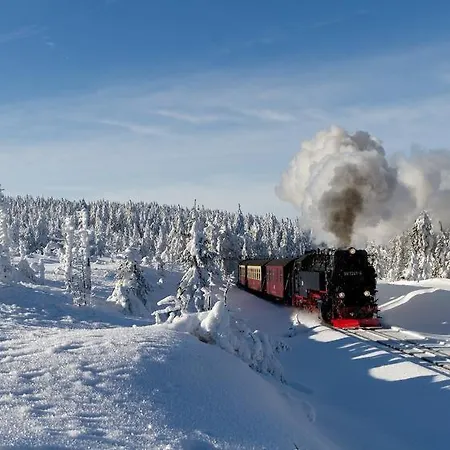 Harz - Blockhaus Mit Sauna Und Kamin, Bocksberg Goslar