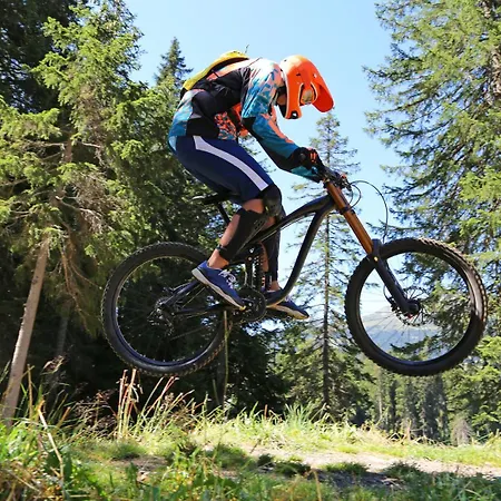 Harz-blockhaus, Berg -