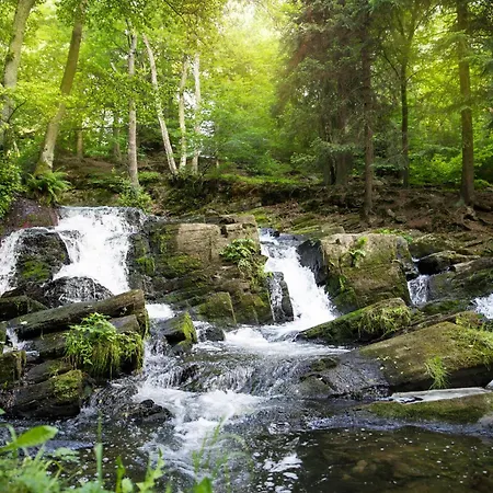 Harz-blockhaus, Berg -
